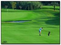 campos de golf