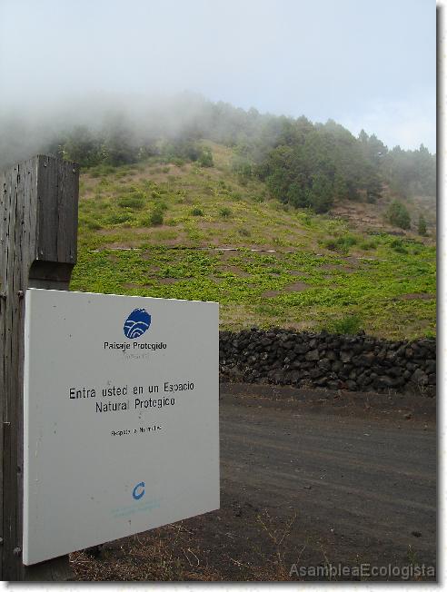 Diapositiva siguiente