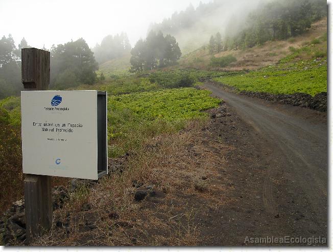 Diapositiva siguiente