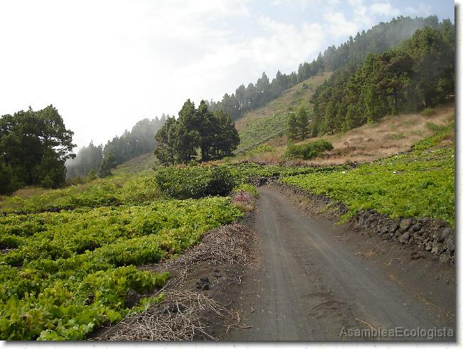 Diapositiva siguiente