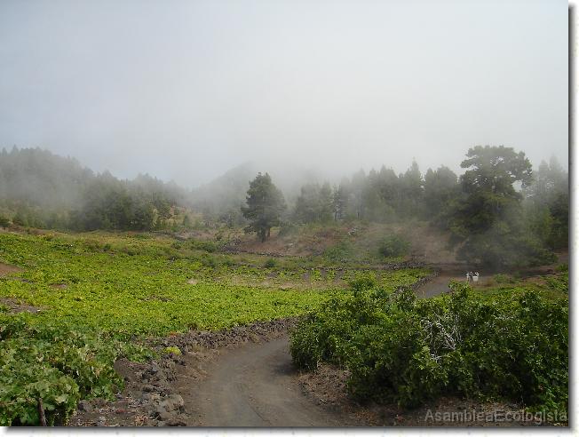 Diapositiva siguiente