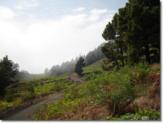 Diapositiva siguiente