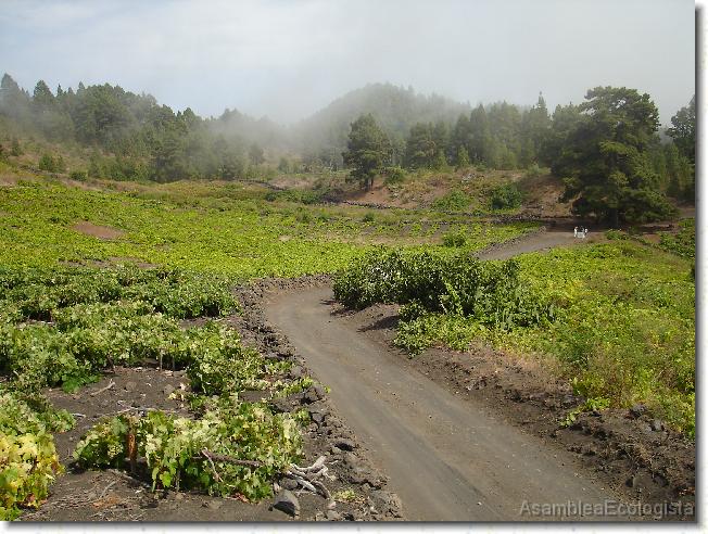 Diapositiva siguiente