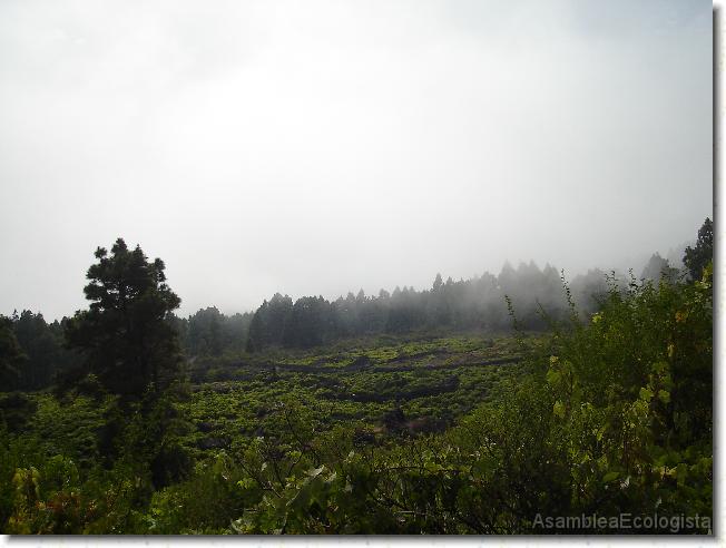 Diapositiva siguiente