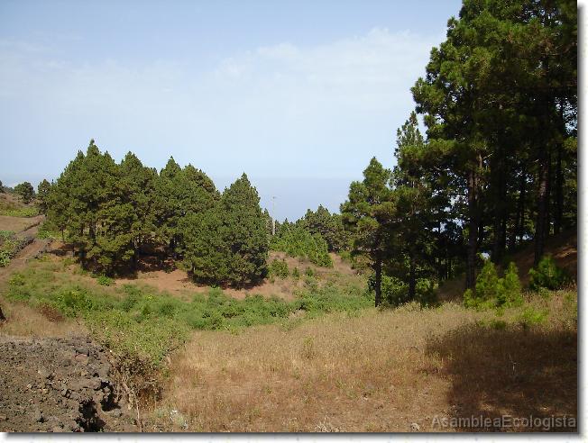 Diapositiva siguiente