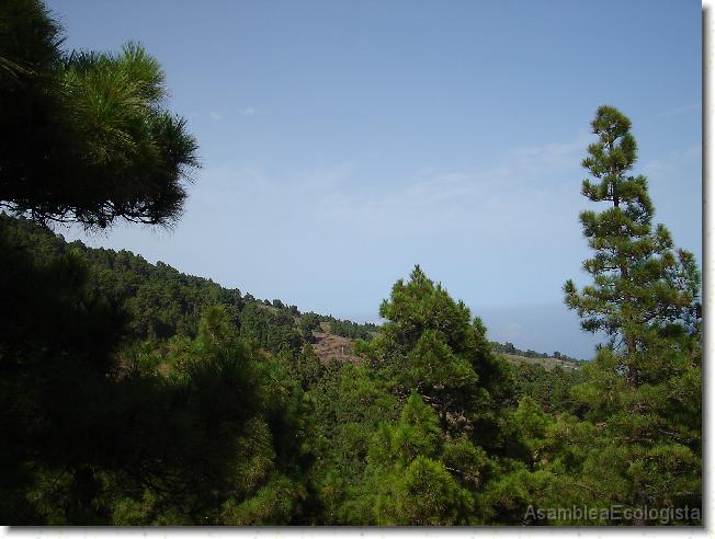 Diapositiva siguiente