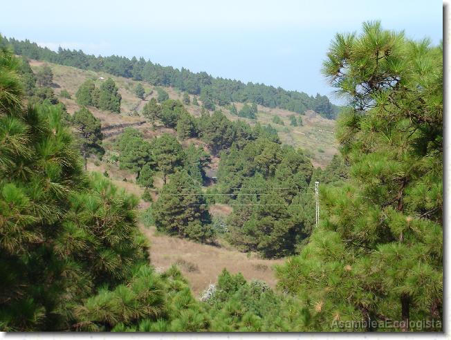 Diapositiva siguiente