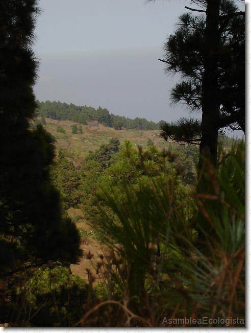 Diapositiva siguiente