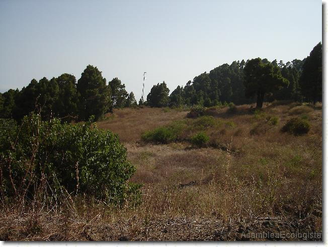 Diapositiva siguiente