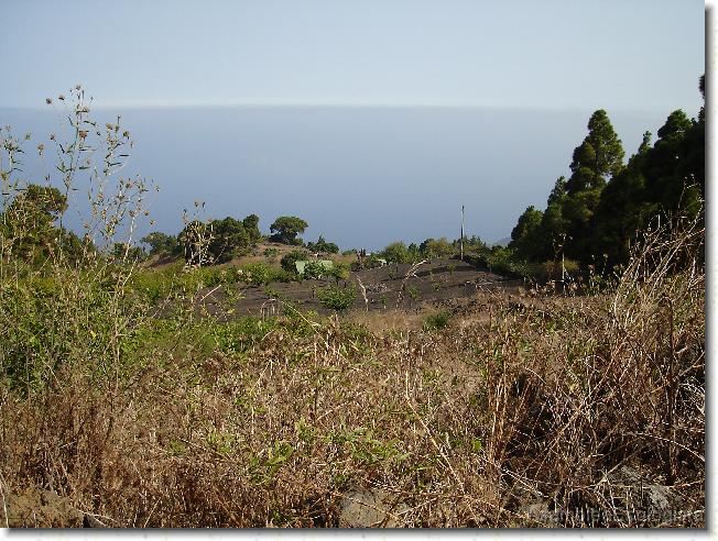 Diapositiva siguiente