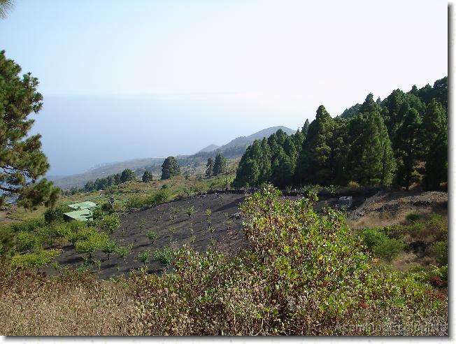 Diapositiva siguiente