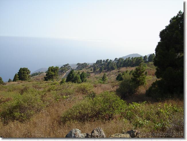 Diapositiva siguiente