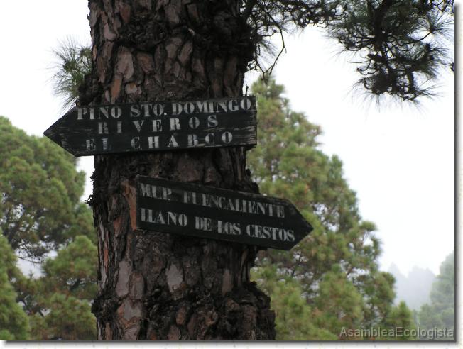 Diapositiva siguiente