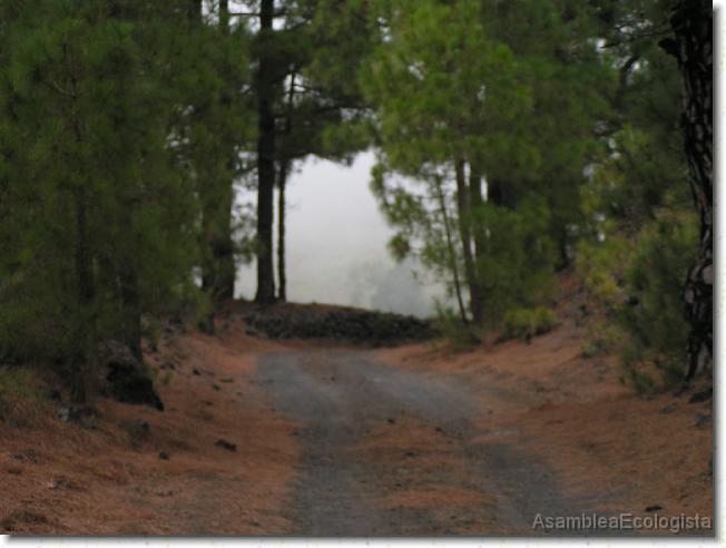 Diapositiva siguiente