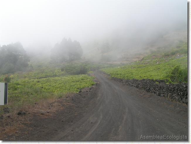 Diapositiva siguiente