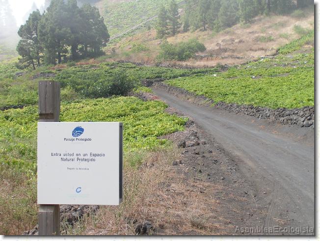 Diapositiva siguiente