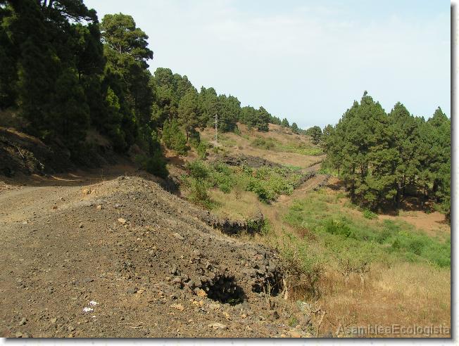 Diapositiva siguiente