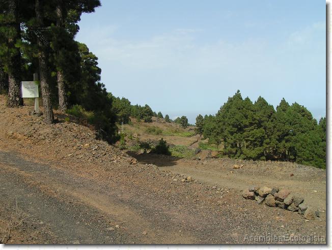 Diapositiva siguiente