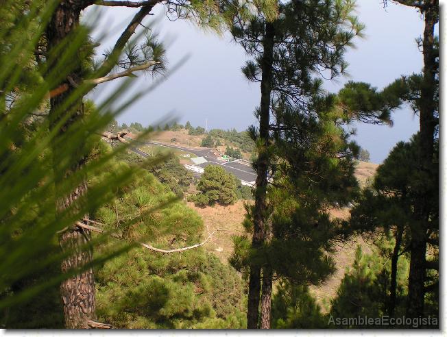 Diapositiva siguiente