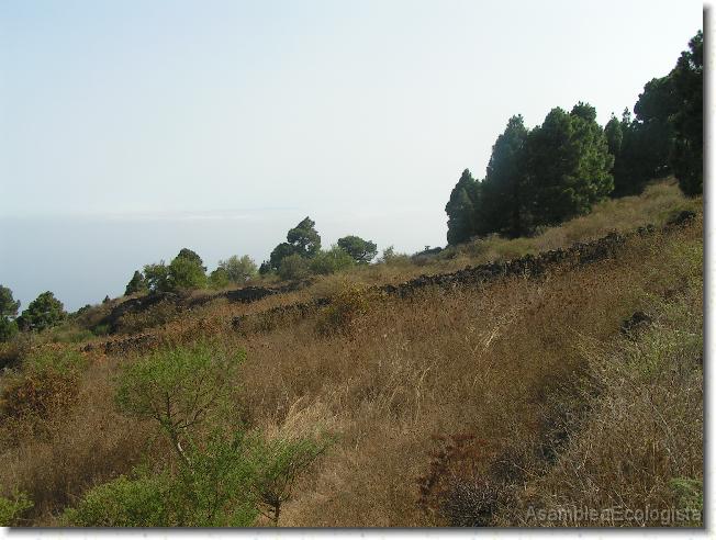 Diapositiva siguiente