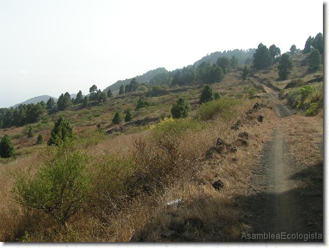 Diapositiva siguiente