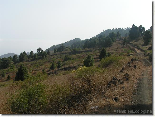 Diapositiva siguiente