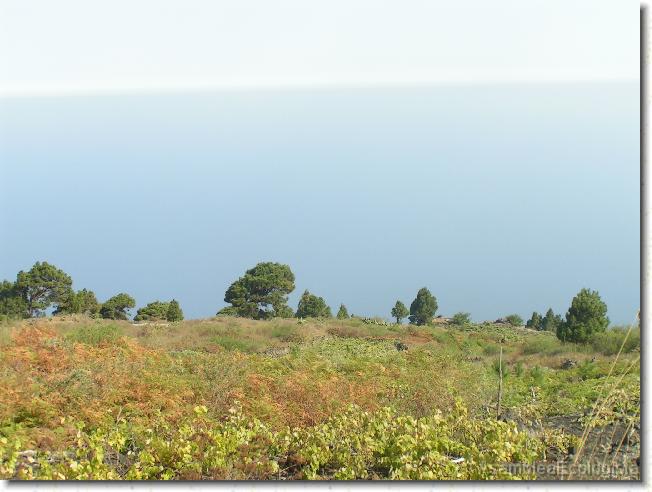 Diapositiva siguiente