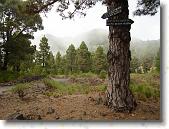 DSC00756 * 2304 x 1728 * (1.75MB)