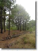 DSC00758 * 1728 x 2304 * (1.73MB)