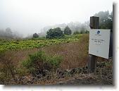 DSC00761 * 2304 x 1728 * (1.8MB)