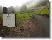 DSC00762 * 2304 x 1728 * (1.8MB)