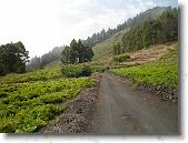 DSC00763 * 2304 x 1728 * (1.85MB)