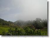 DSC00764 * 2304 x 1728 * (1.69MB)