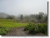 DSC00765 * 2304 x 1728 * (1.81MB)