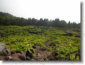 DSC00771 * 2304 x 1728 * (1.83MB)