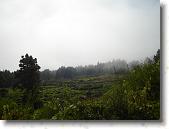 DSC00772 * 2304 x 1728 * (1.55MB)