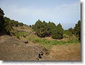 DSC00774 * 2304 x 1728 * (1.83MB)