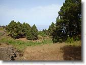 DSC00775 * 2304 x 1728 * (1.78MB)