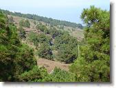 DSC00778 * 2304 x 1728 * (1.85MB)