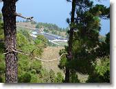 DSC00779 * 2304 x 1728 * (1.84MB)