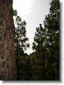 DSC00782 * 1728 x 2304 * (1.69MB)