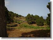 DSC00783 * 2304 x 1728 * (1.73MB)