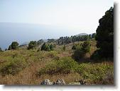 DSC00791 * 2304 x 1728 * (1.81MB)