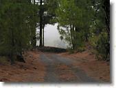 PICT1750 * 2048 x 1536 * (1.96MB)