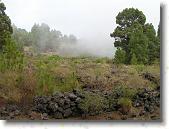 PICT1751 * 2048 x 1536 * (1.43MB)