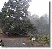 PICT1753b * 1535 x 1433 * (1.12MB)