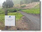 PICT1756 * 2048 x 1536 * (1.5MB)