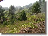 PICT1762 * 2048 x 1536 * (1.35MB)