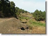 PICT1763 * 2048 x 1536 * (1.42MB)