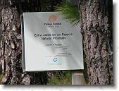 PICT1764 * 2048 x 1536 * (1.5MB)